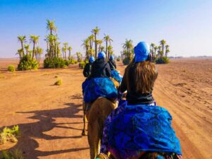 marrakech-camel-ride-at-the-palm-grove-5-Copier