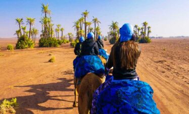 marrakech-camel-ride-at-the-palm-grove-5-Copier
