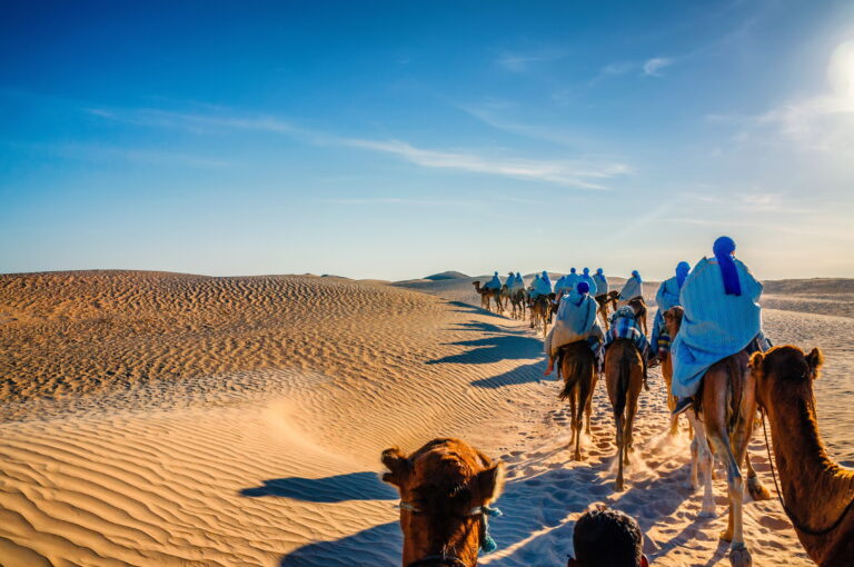 Camels,Caravan,Going,In,Sahara,Desert,In,Tunisia,,Africa.
